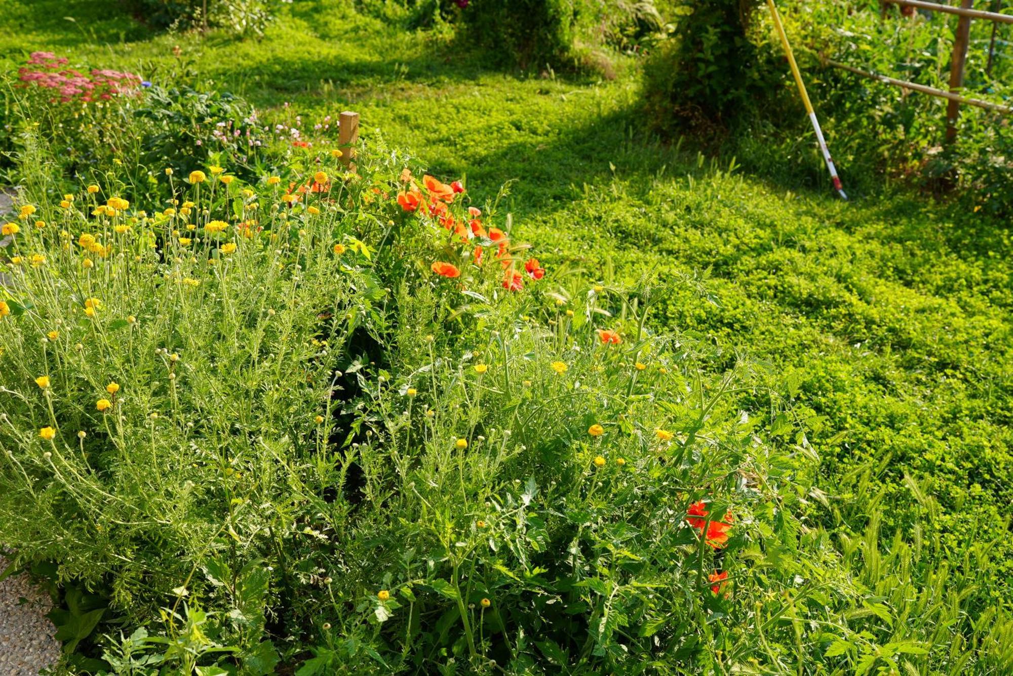 Les Jardins De Felicie Villa Poses Exteriör bild