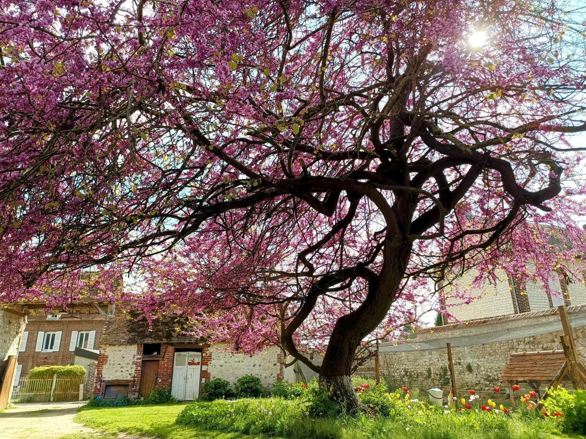 Les Jardins De Felicie Villa Poses Exteriör bild