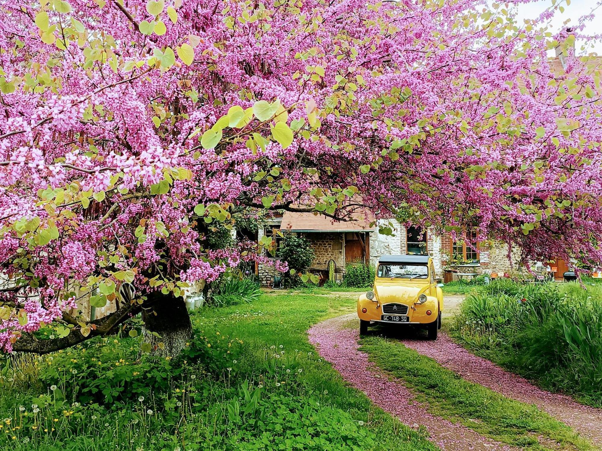 Les Jardins De Felicie Villa Poses Exteriör bild